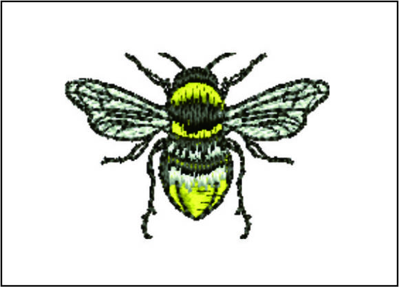 Bee Detailed: A Designer’s Review for Boutique Apparel