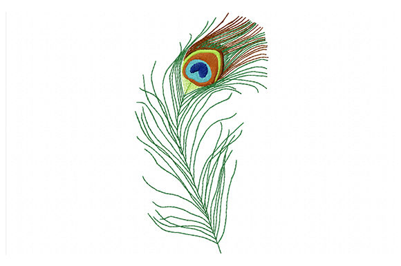 Reviewing the Colorful Peacock Feather for Holiday Sales